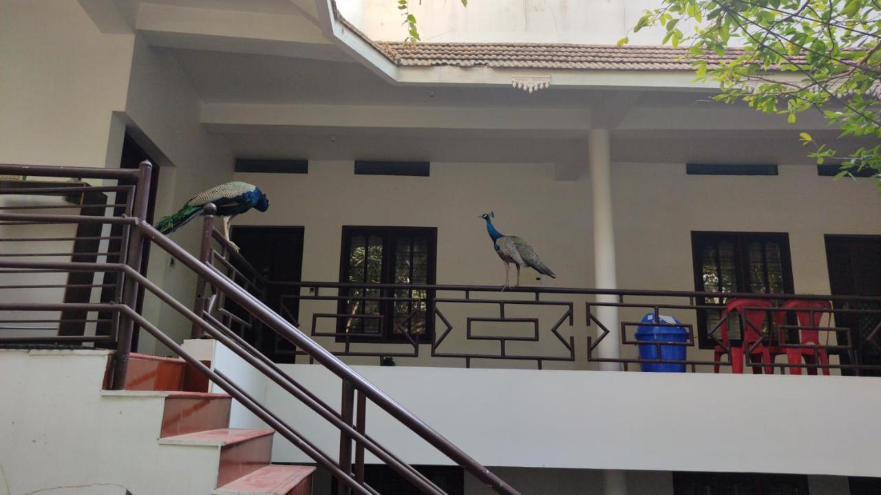 كوفالام Pebblecoast Beach Resort المظهر الخارجي الصورة